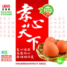 产品展示